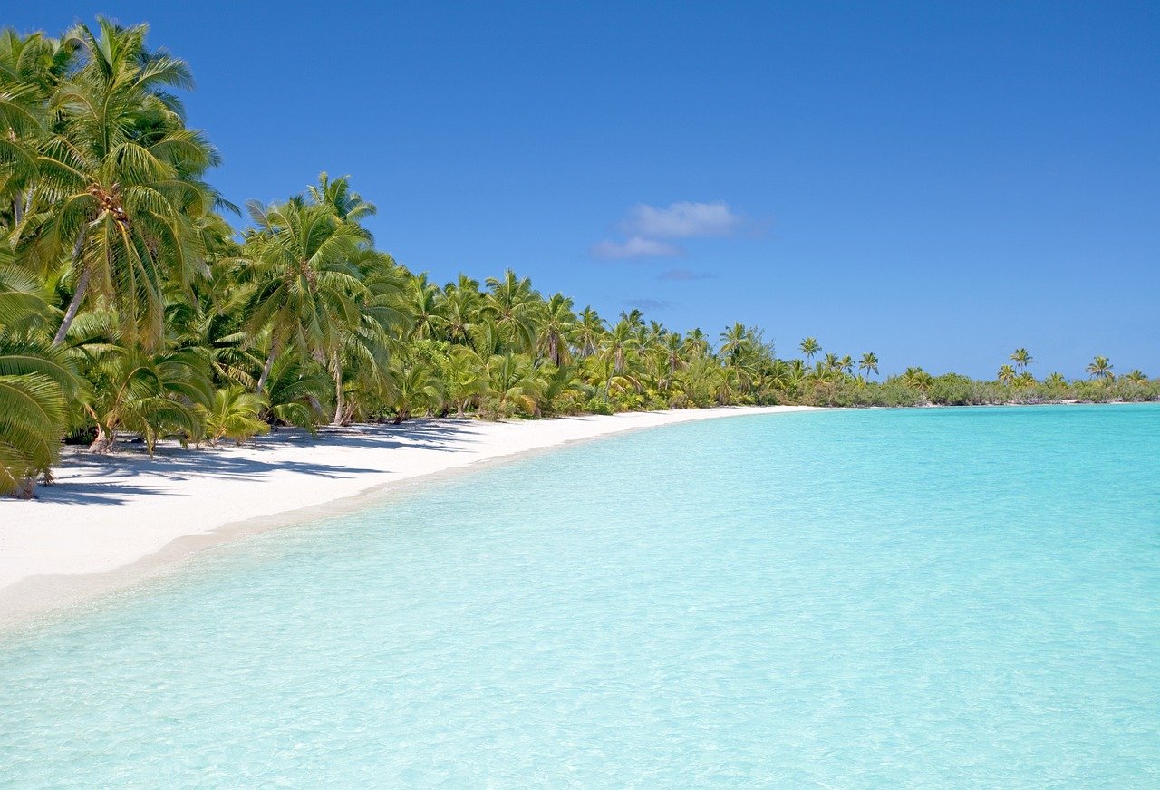 beach, island, ocean, sea, seascape, seashore, palm trees, nature, water, paradise, tropical, tropical island, sand, sandy beach, white sand, beach, beach, beach, beach, beach
